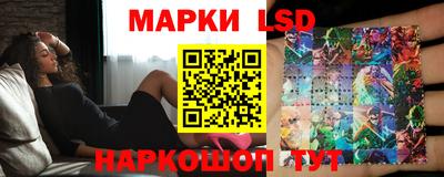 a pvp Новозыбков