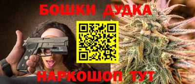 гашик Новокубанск