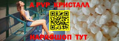 a pvp Новозыбков