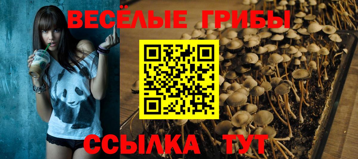 Галлюциногенные грибы GOLDEN TEACHER Сертолово