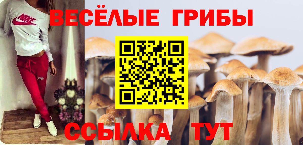 Псилоцибиновые грибы ЛСД  Вход с VPN  Псилоцибиновые грибы мухоморы  Сертолово 